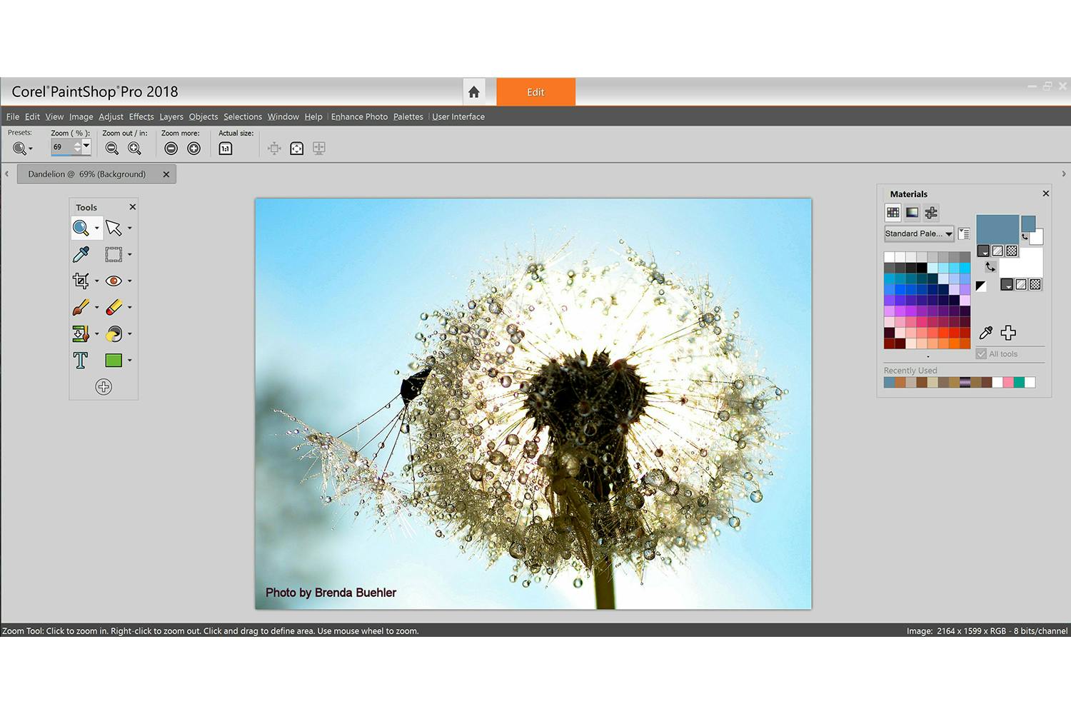 PaintShop Pro 2018 Essentials workspace